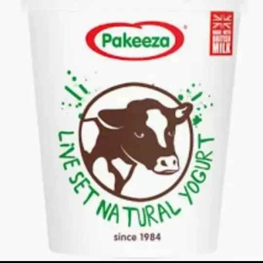 Pakeeza Live Set Natural Yogurt d260ee-7t.myshopify.com