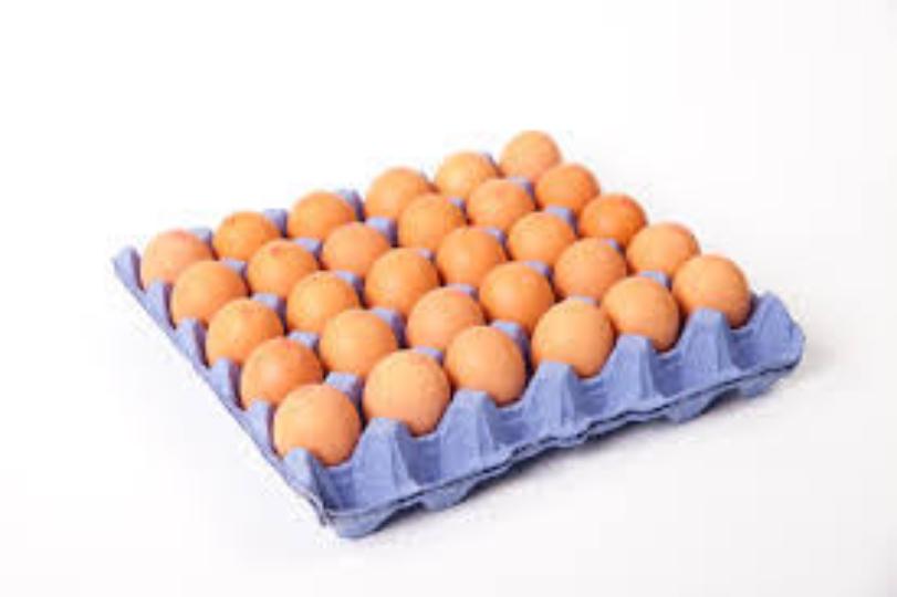 Eggco 30 Pack Medium Eggs